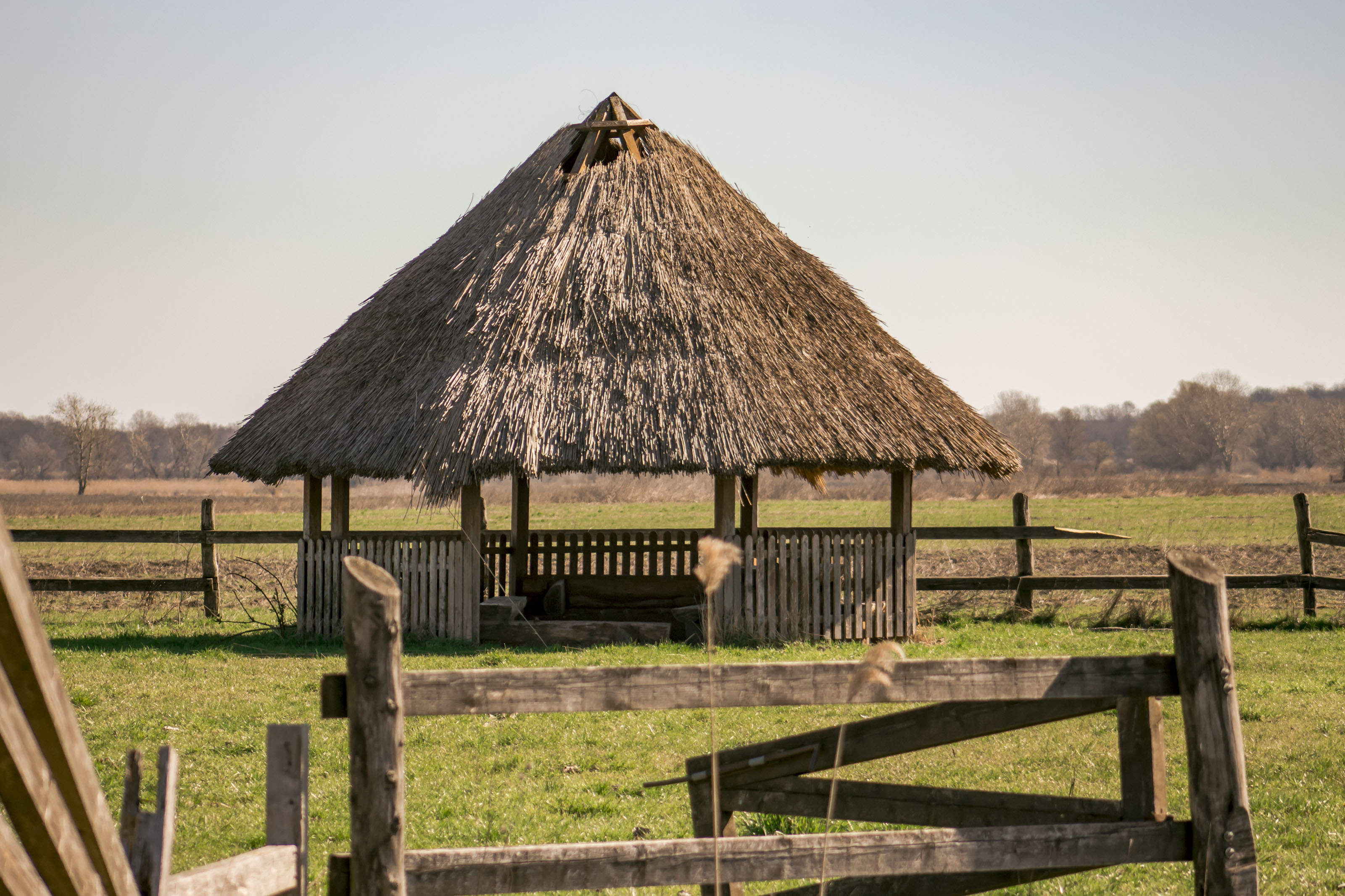 Kopački rit ožujak 2023. Kopački rit ožujak 2023.