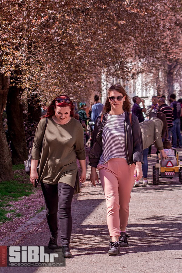 ulica_ringlova_ivica_benic_sibh