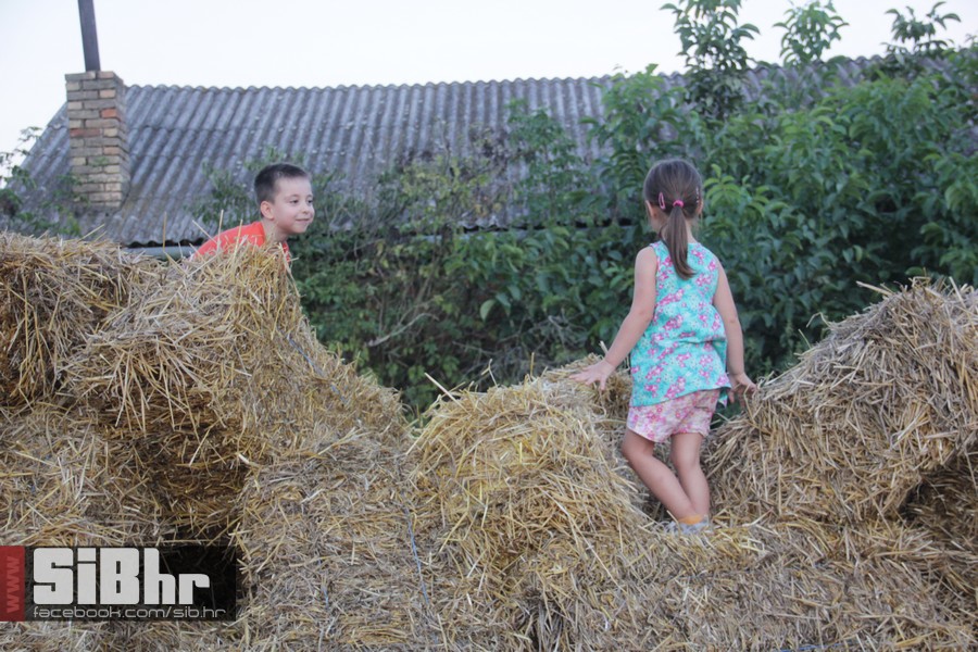slama2015_subota_SiBhr40