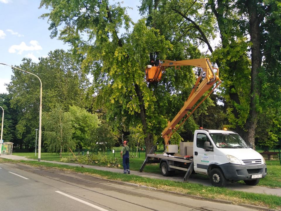 Olujni vjetar rušio drva u Osijeku