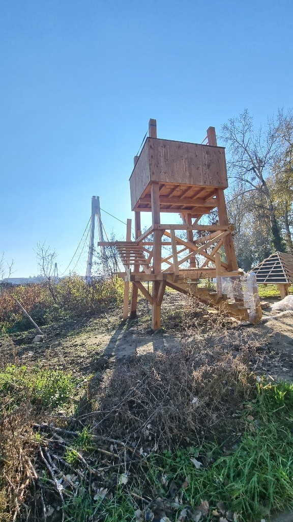 Šumica na lijevoj obali Drave