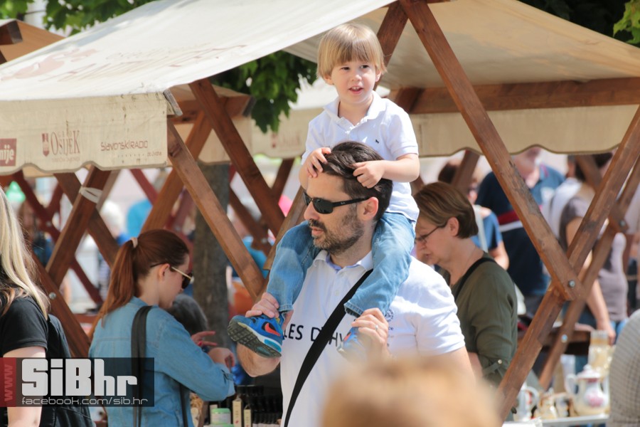 sajam_antikviteta0406_2016_sibh