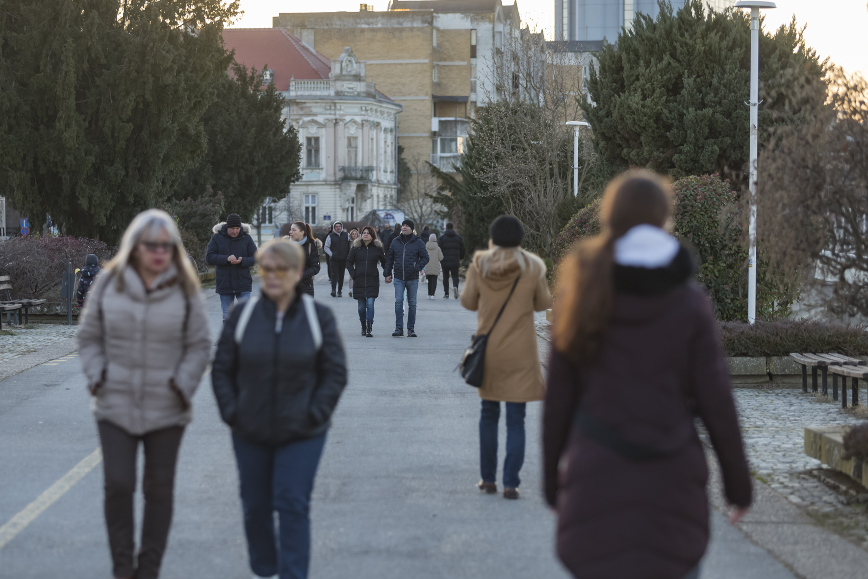 Nedjeljna šetnja 29.1.2024.
