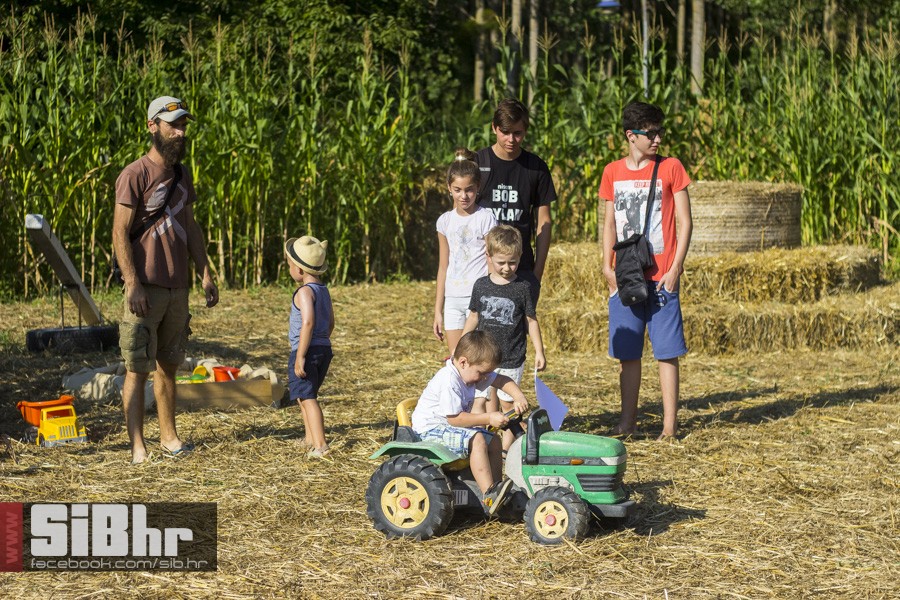 kukuruzni_labirint_osijek_SiBhr