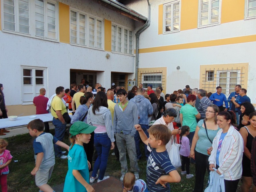 zelena_zastava_darda_19