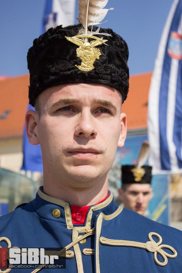 sokolovi_60