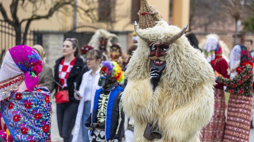 Buše u Dražu Buše u Dražu