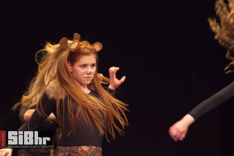 broadway_plesna_produkcija_12