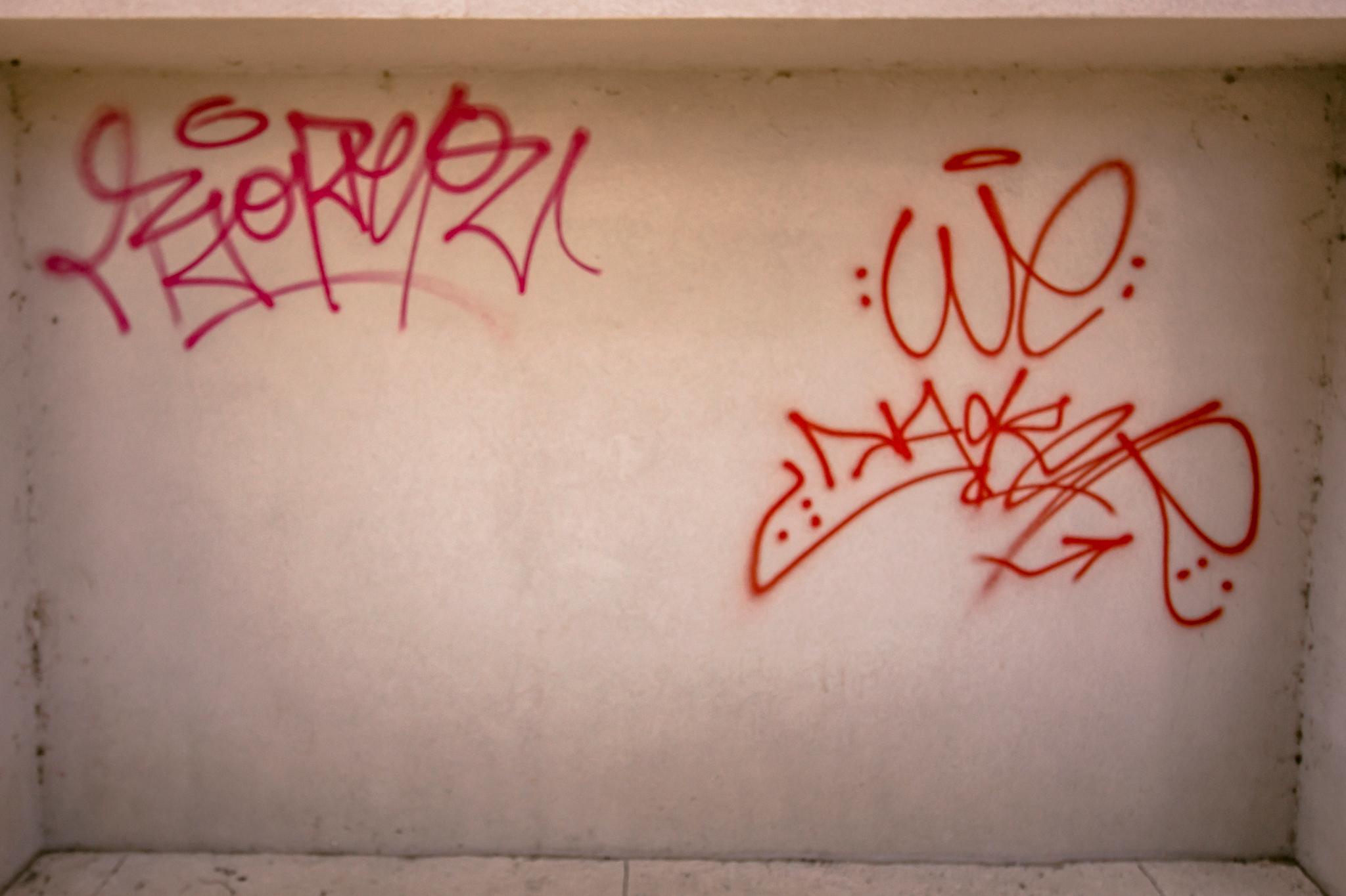 Image 4451271 (auto)