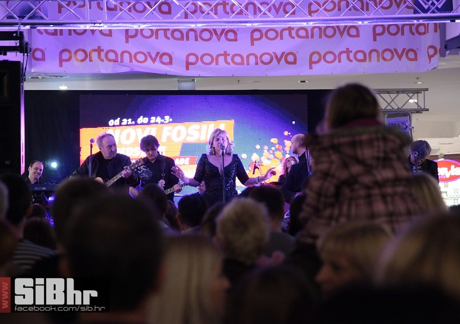 novifosili_portanova_SiBhr_33