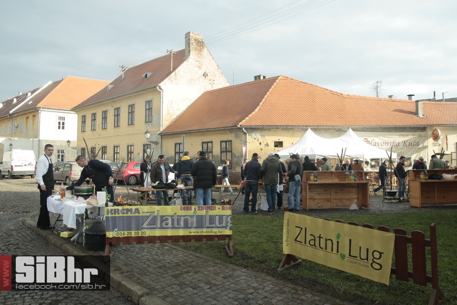 gezina_fisijada_tvrdja_17