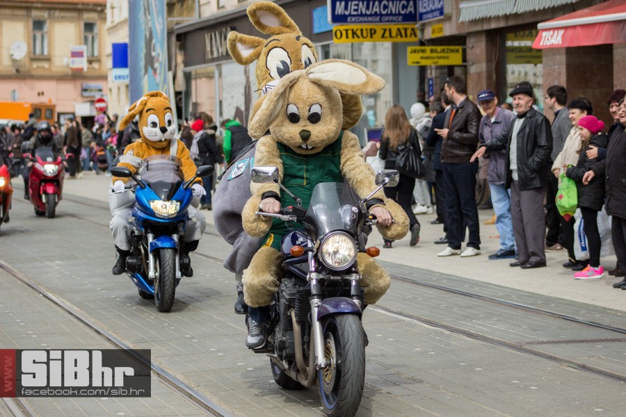 gnijezdo2015_08