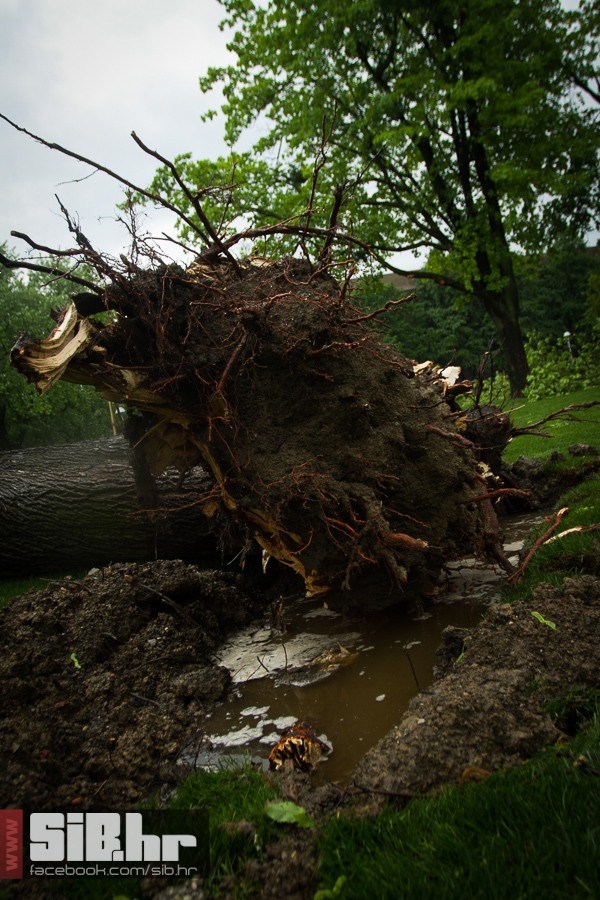 unisten_zrinjevac_11052013_sibh unisten_zrinjevac_11052013_sibh