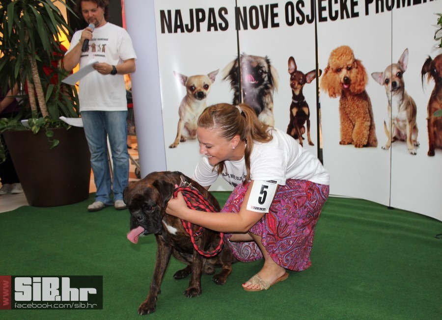 najpas_sibhr_25