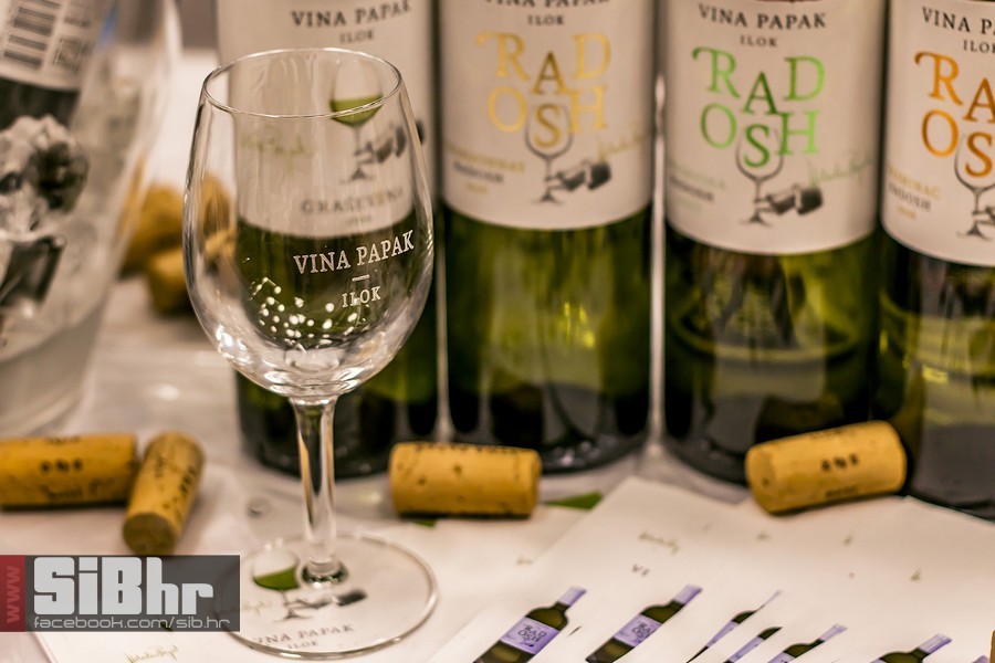 WineOS_fest_2019_SiB_hr-005