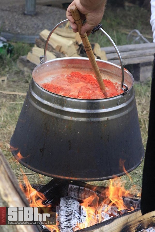 dani_ribe_SiB_hr_22 dani_ribe_SiB_hr_22