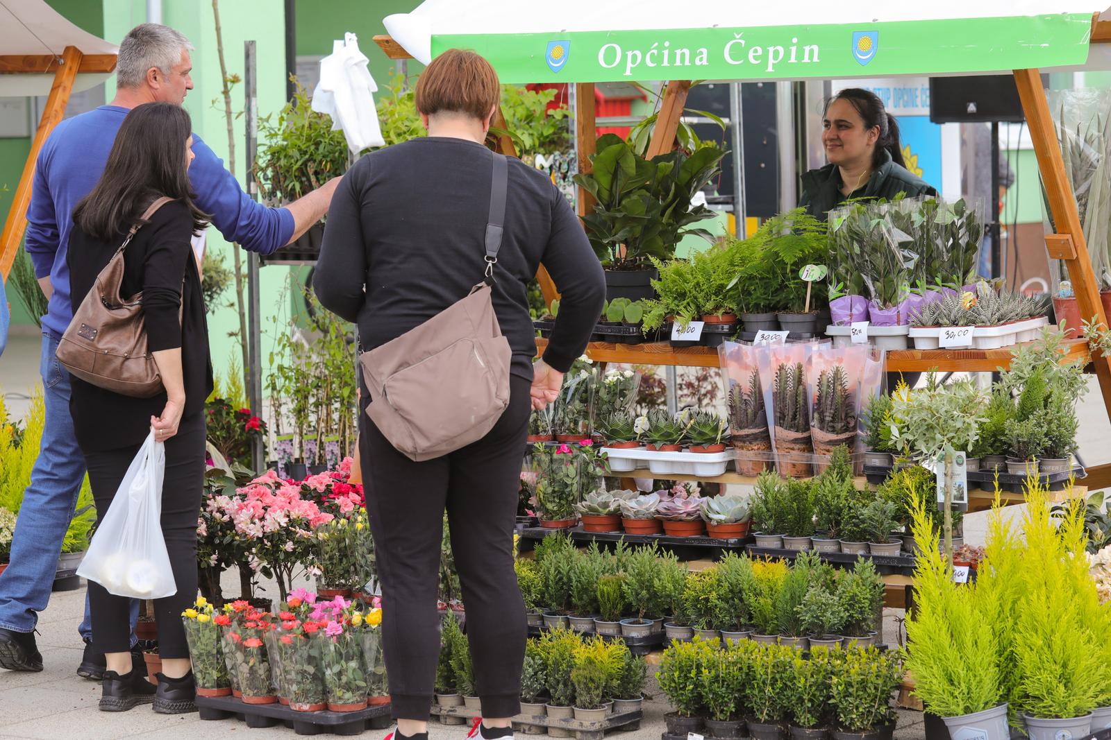 Proljetni sajam u Čepinu Proljetni sajam u Čepinu