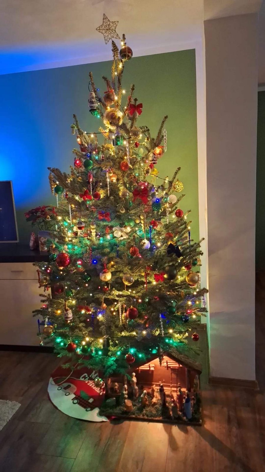 Najljepši borovi na Božić 2023. Najljepši borovi na Božić 2023.