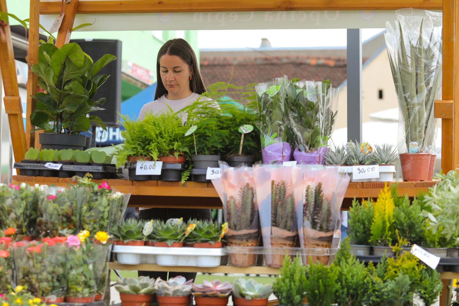 Proljetni sajam u Čepinu Proljetni sajam u Čepinu
