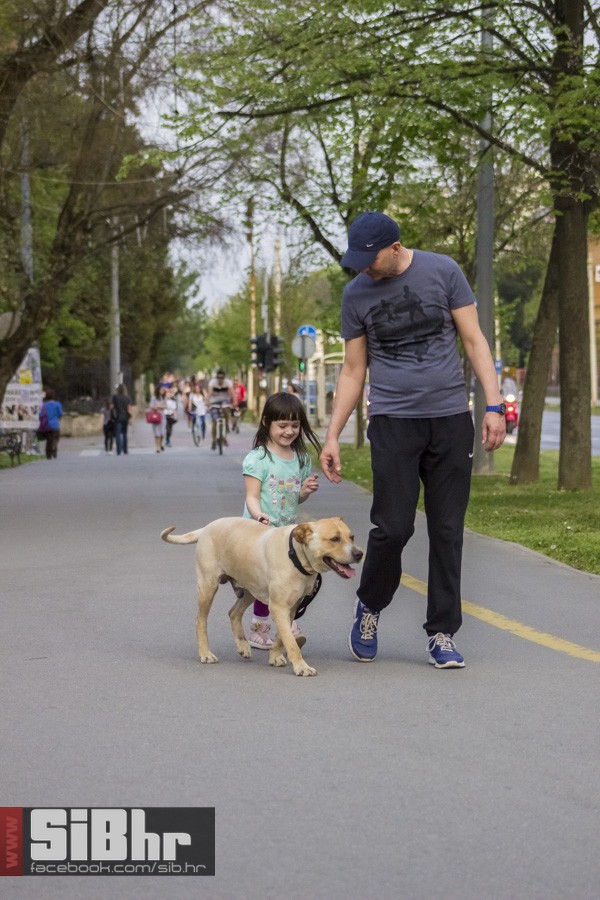 osjecani_u_setnji_gradom_116 osjecani_u_setnji_gradom_116