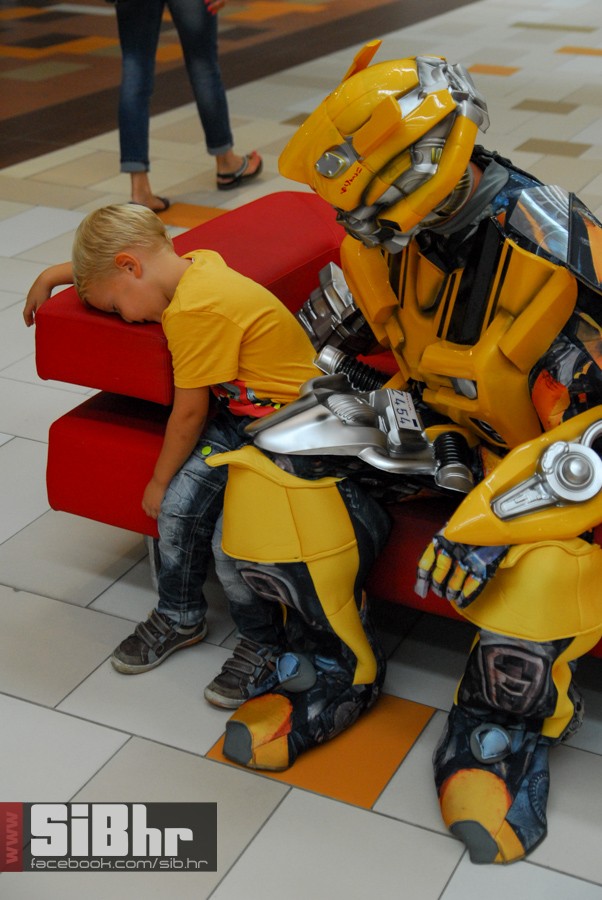 robo_am_29
