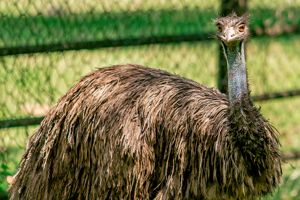 ZOO vrt  Osijek u proljeće