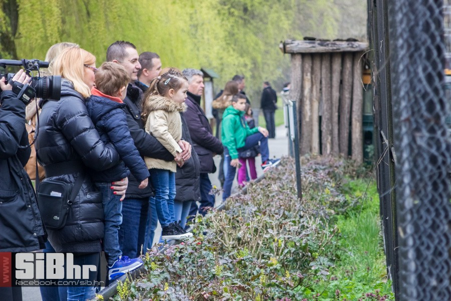 zoo_uskrs_2016_sibhr_98