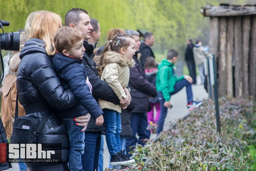 zoo_uskrs_2016_sibhr_97