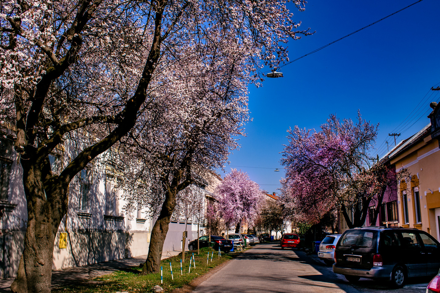 Ulica ringlova u Osijeku