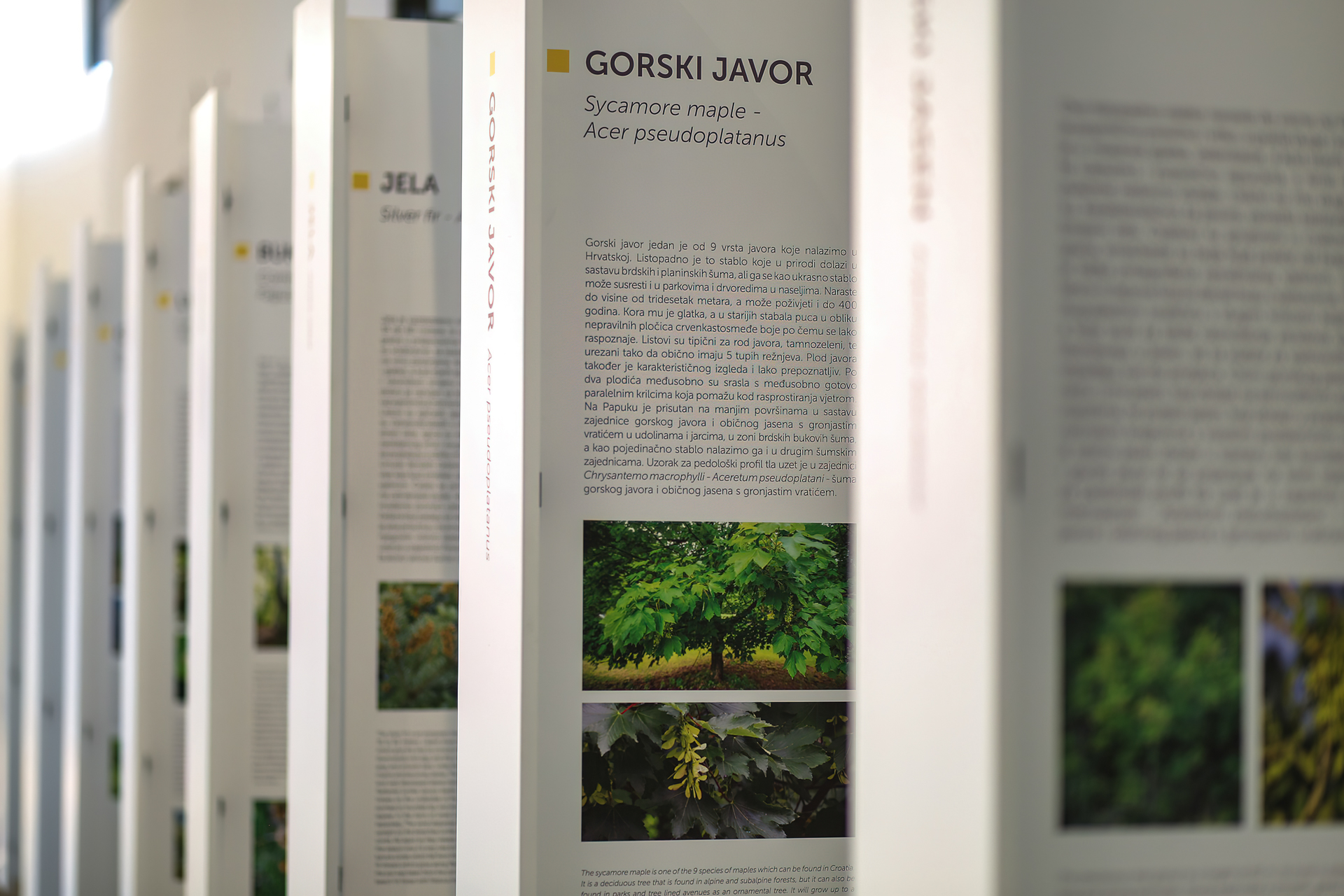 Geo-info centar Voćin