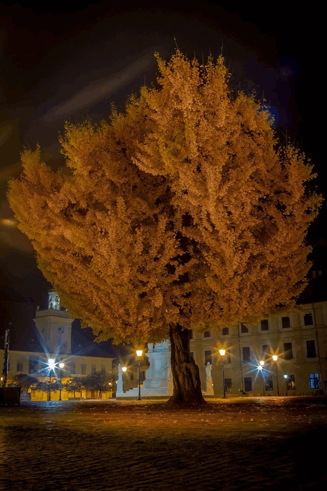 theghostcity_drazen_lazic_17