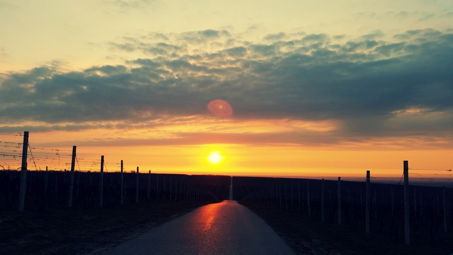 baranja_by_gordan_trtanj_SiBhr_