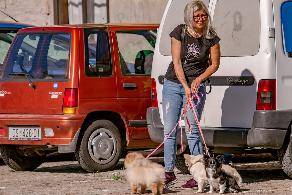 Legice i lege u nedjeljnoj šetnji [10.5.2021.]