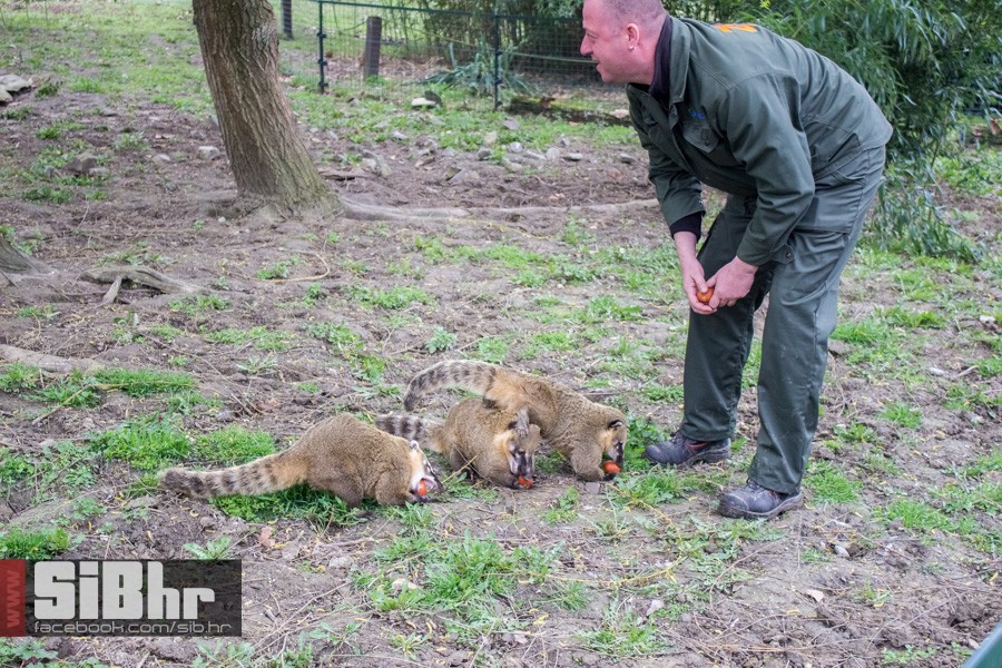 zoo_uskrs_2016_sibhr_33