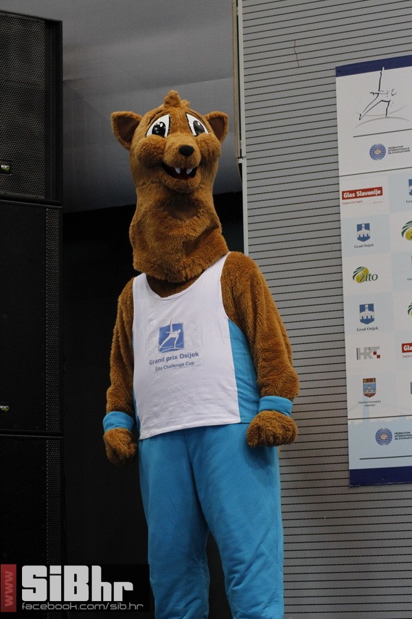 gimnastika_finale1_zoran_osijek