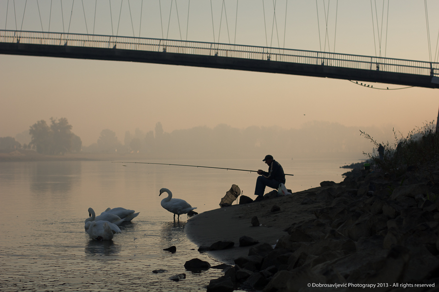 dobrosavljevic_osijek_SiBhr_40