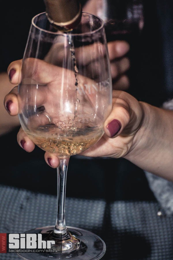 wine_fest_osijek_2015_SiBhr_25