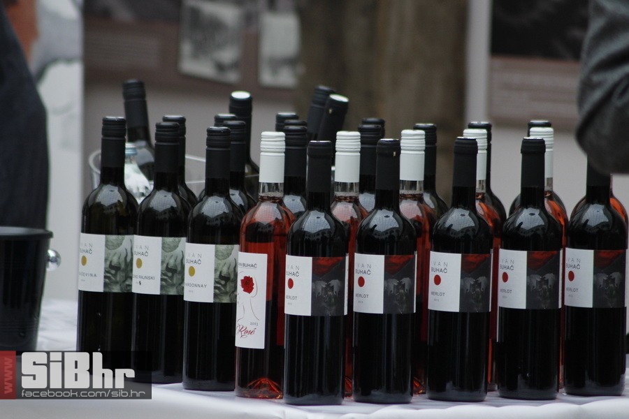 wine_fest_osijek_SiBhr_32