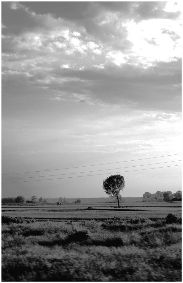 osijek_robert_marinkovic_19