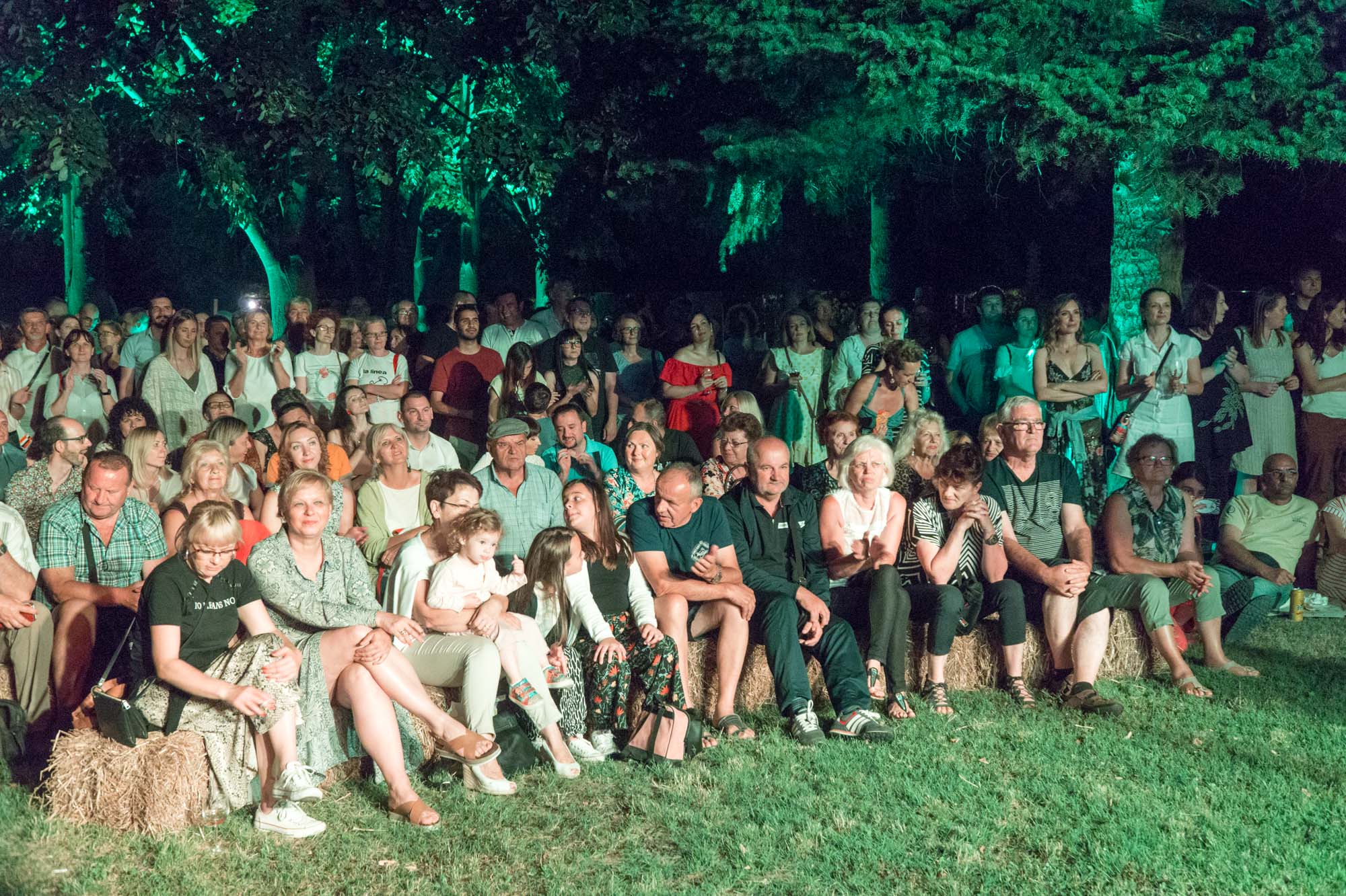 DunavArt Festival u Erdutu
