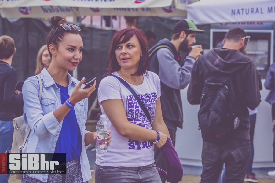 pannonian_petak2015_SiBhr07