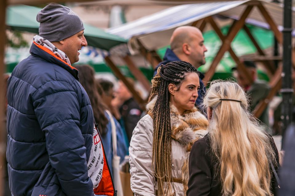 Legice i lege na Sajmu antikviteta