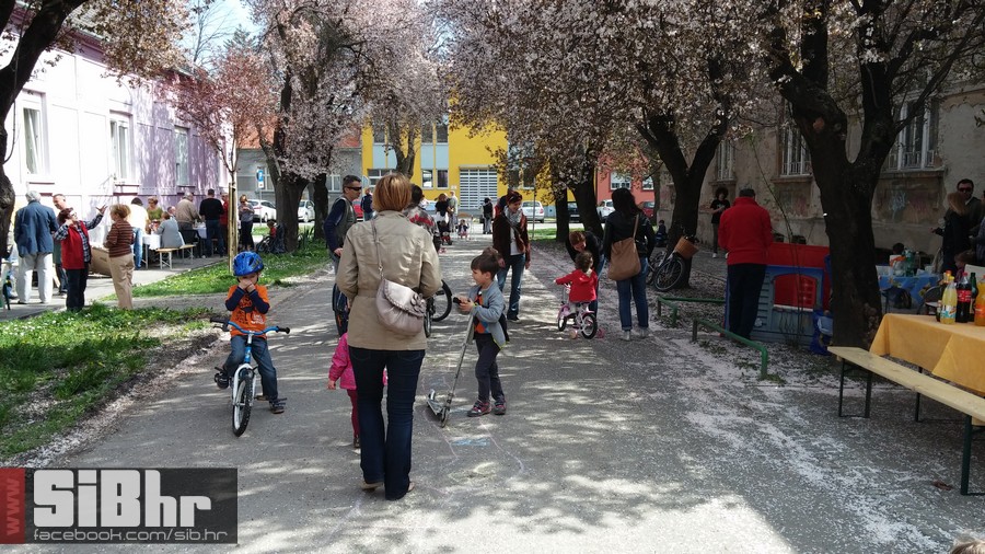 ringlovi_2014_12