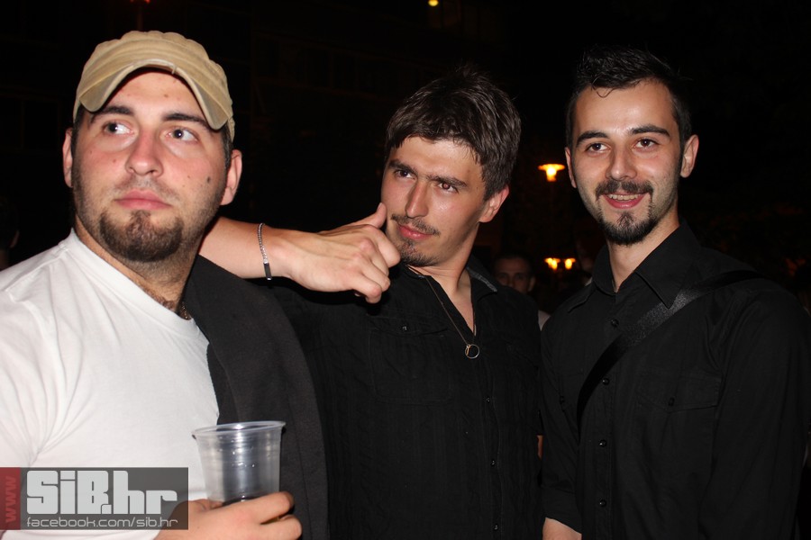 dc_party_sib