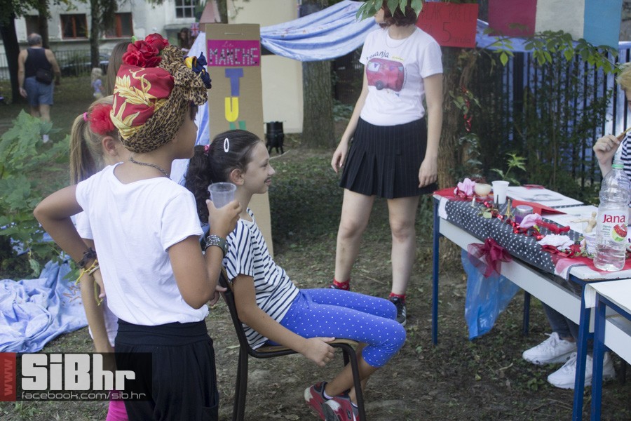 zemlja_vijenac_2015_SiBhr41