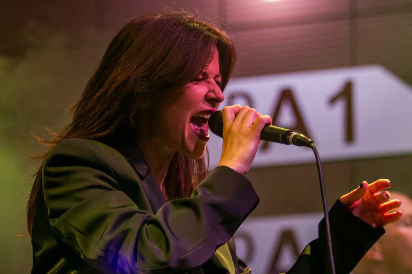 Vesna Pisarović u Osijeku Vesna Pisarović u Osijeku