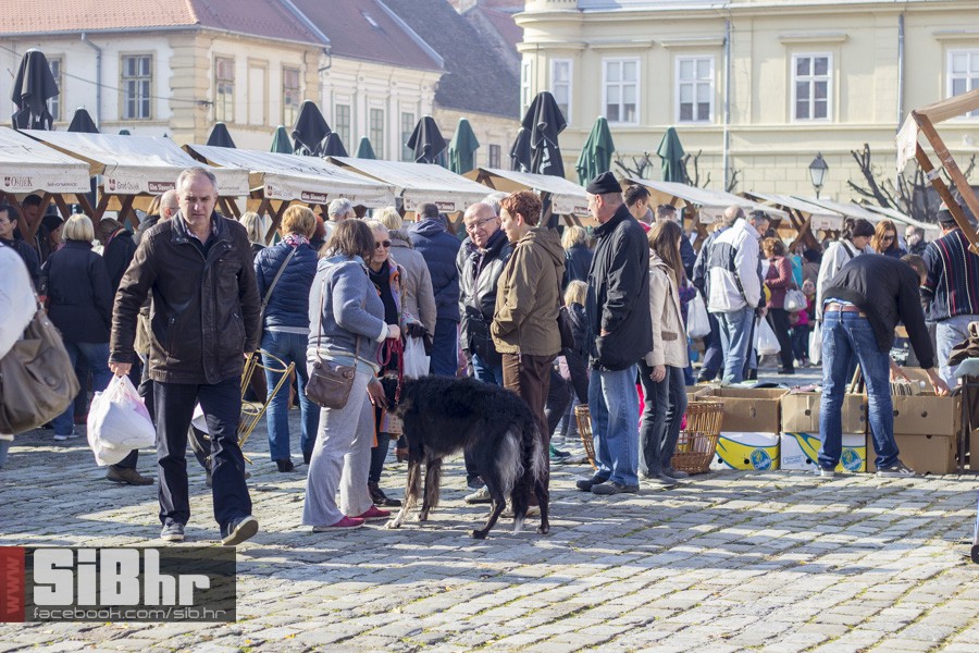 sajam_antikviteta_2015_SiBhr_04