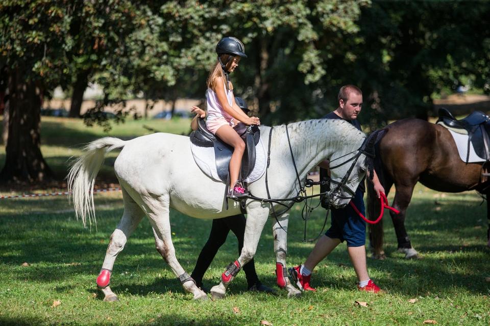 Zemlja bez granica 2019 – Subota Zemlja bez granica 2019 – Subota