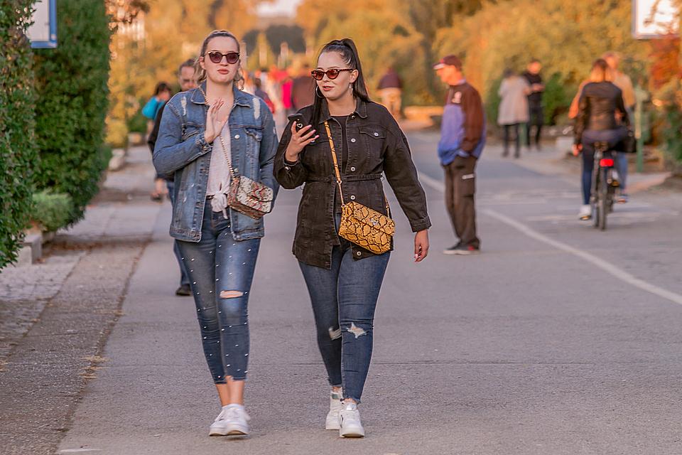 legice i lege u šetnji legice i lege u šetnji