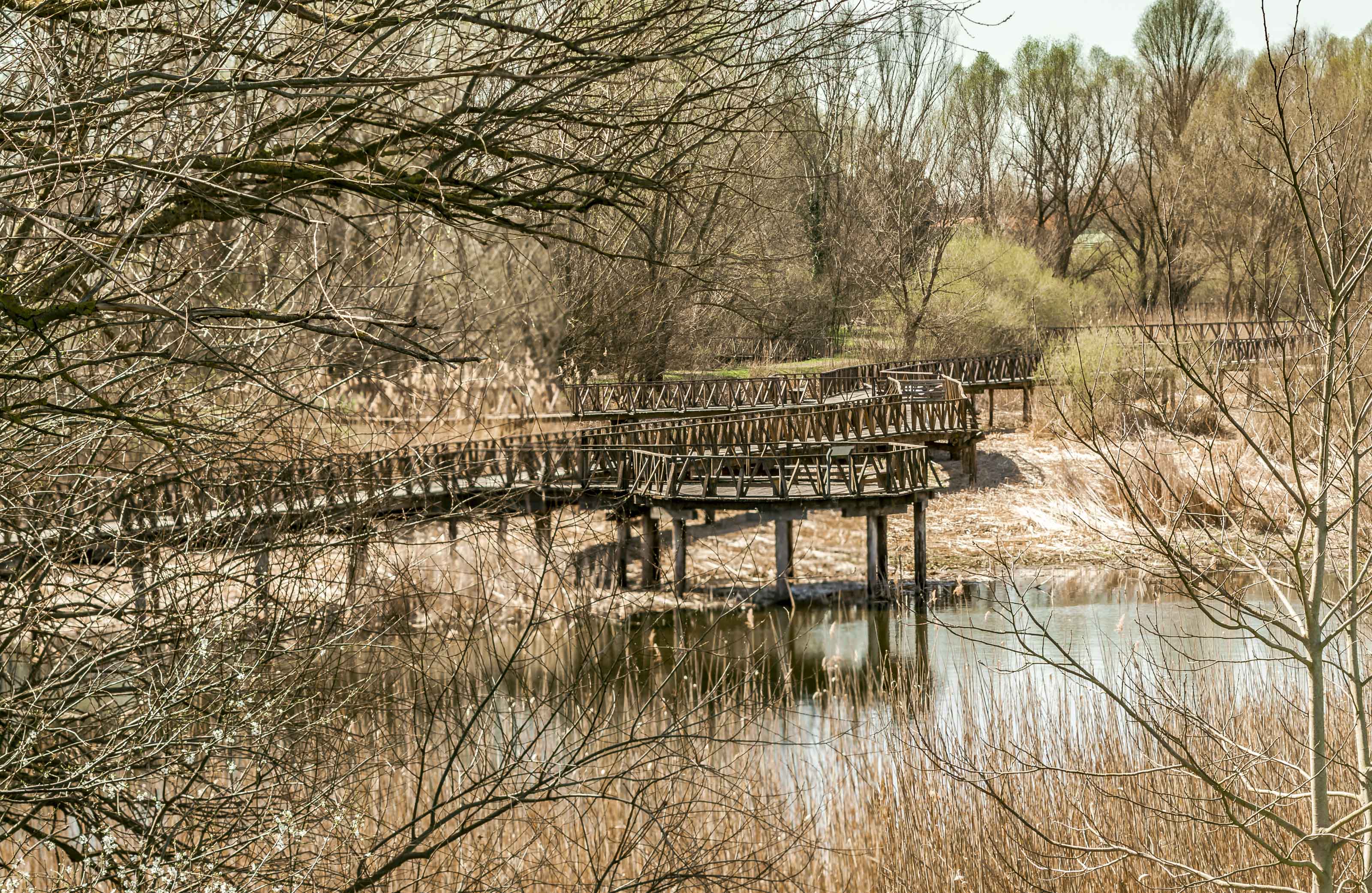 Kopački rit ožujak 2023. Kopački rit ožujak 2023.